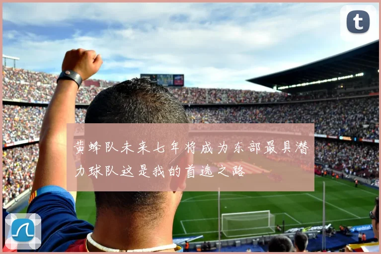 黄蜂队未来七年将成为东部最具潜力球队这是我的首选之路